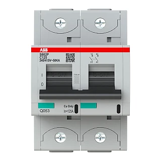 ABB 2CCG001231R0001 S802P-C125 Yüksek Performanslı Otomatik Sigorta