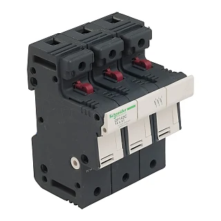 Schneider Electric DF143C TeSyS Kesici 3P 50A - 14x51 mm