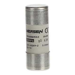 ABB 2CSM258213R1801 E 9F22 GG63 Kartuş Sigorta
