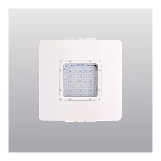 ACK AT38-06000 ACK LED Kanopi Armatürleri (temsili görsel)