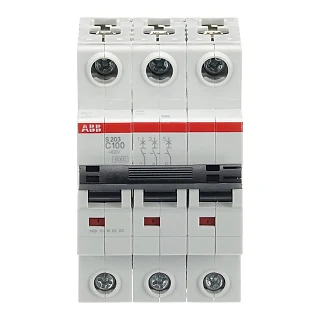 ABB 2CDS253001R0824 S203-C100 Otomatik Sigorta