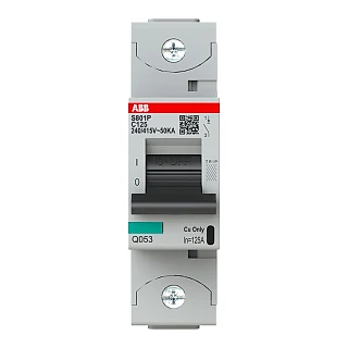 ABB 2CCG001228R0001 S801P-C125 Yüksek Performanslı Otomatik Sigorta