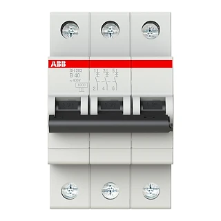 ABB 2CDS213001R0405 SH203-B40 Otomatik Sigorta