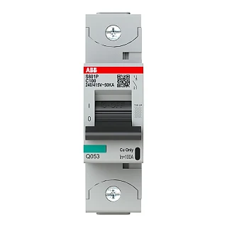 ABB 2CCG001227R0001 S801P-C100 Yüksek Performanslı Otomatik Sigorta