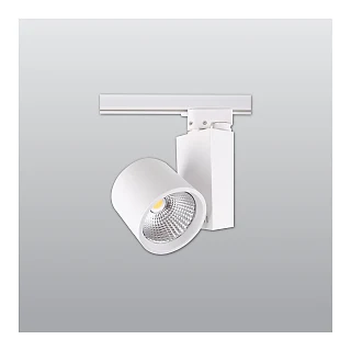ACK AD30-04000 ACK 30W LED Ray Armatür (AD30-04000 …)