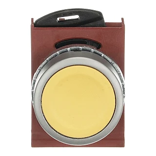 ABB 1SFA184003R9003 P9MPNGG Buton