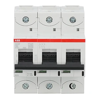 ABB 2CCG001232R0001 S803P-C80 Yüksek Performanslı Otomatik Sigorta