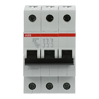 ABB 2CDS213001R0065 SH203-B6 Otomatik Sigorta