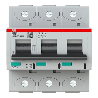 ABB 2CCG001234R0001 S803P-C125 Yüksek Performanslı Otomatik Sigorta