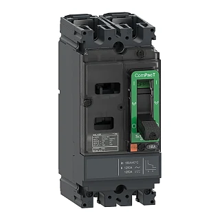Schneider Electric C10F2TM016 ComPacT Şalter NSX100F 18kA AC-DC 2P 16A TMD (temsili görsel)