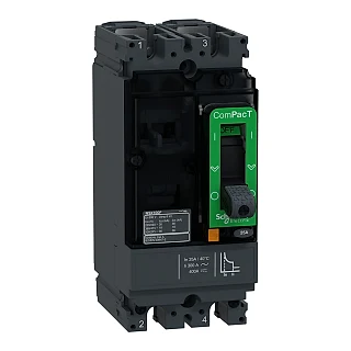 Schneider Electric C10F2TM025 ComPacT Şalter NSX100F 18kA AC-DC 2P 25A TMD