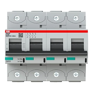 ABB 2CCG001236R0001 S804P-C100 Yüksek Performanslı Otomatik Sigorta
